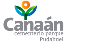 descarga (4)